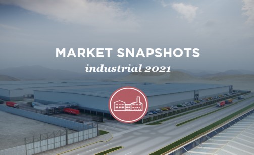 INDUSTRIAL SNAPSHOT 2021