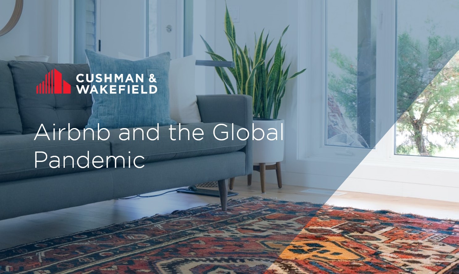 Airbnb and the Global Pandemic