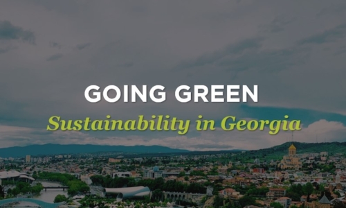 Going Green – Sustainability in Georgia